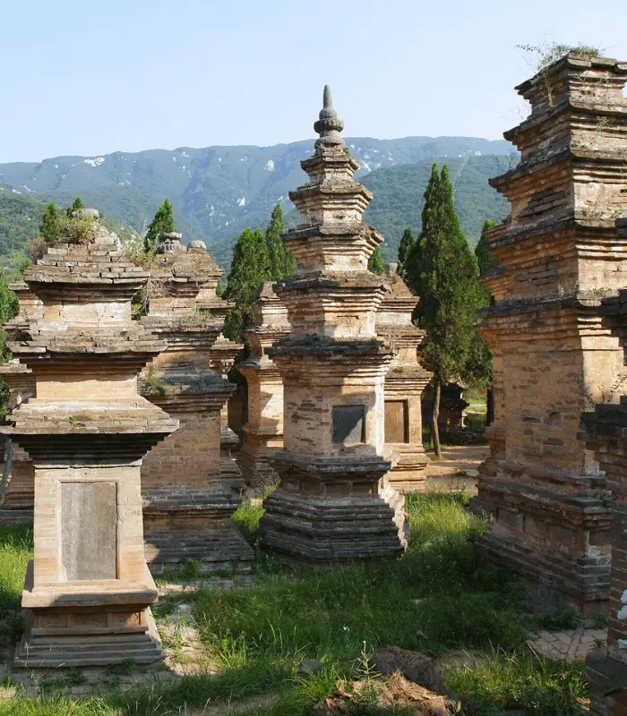 pagoda forest shaolin temple