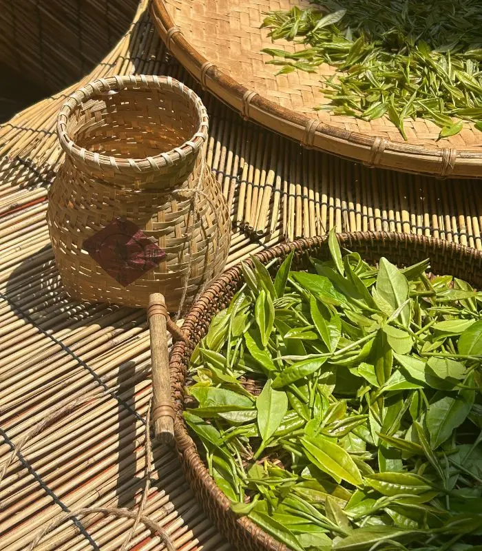 chinese tea leaves