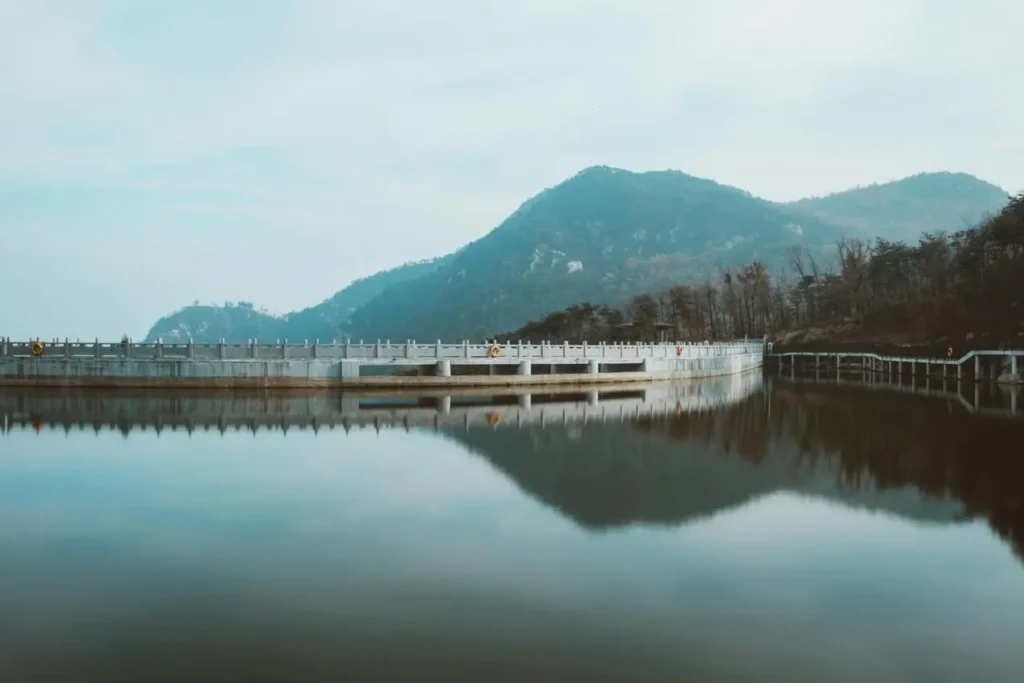Small City, Big Business – Linyi Wood Industry