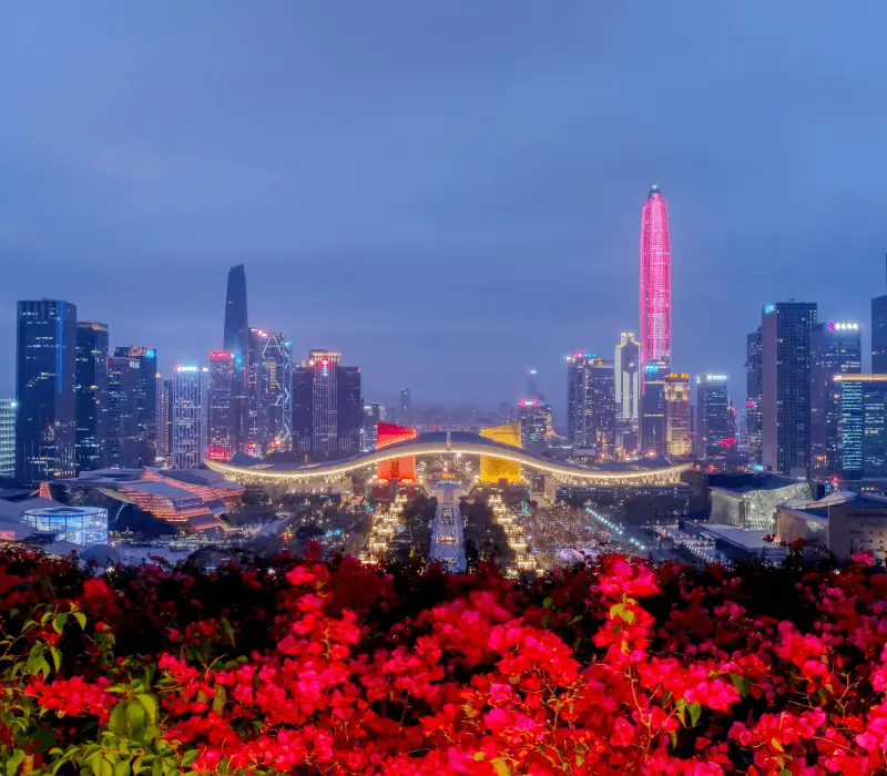 shenzhen night cityscape