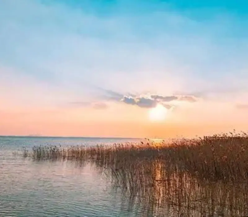 sunset wetlands